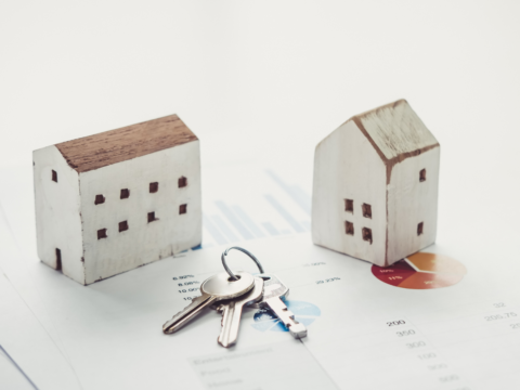 immobilier-neuf-2026